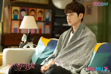 Please Feel At Ease Mr Ling C Drama Love Show Summary