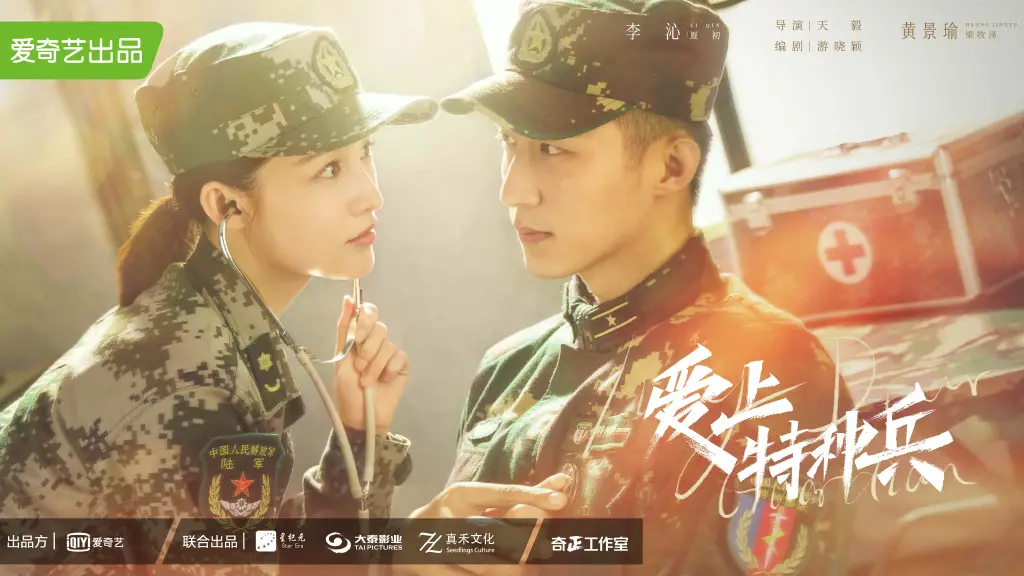 My Dear Guardian Chinese Drama - C-Drama Love - Show Summary