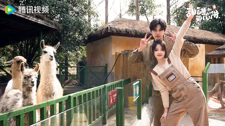 content trap chinese drama